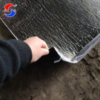 Torched on Sbs/APP Modified Bitumen Waterproofing Membrane for Roofing/Basement