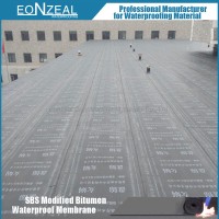 Roof Basement Use 3mm/4mm Sbs/APP Modified Bitumen Waterproof Membrane