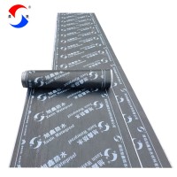 Torched Bitumen Waterproof Membrane Roofing Sheet Breathable Sbs Membrane