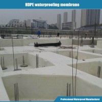 Basement Foundation Underground HDPE Pre-Applied Self-Adhesive Waterproofing Membrane (with ASTM)