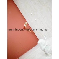 Single Component PU Polyurethane Waterproofing Coating